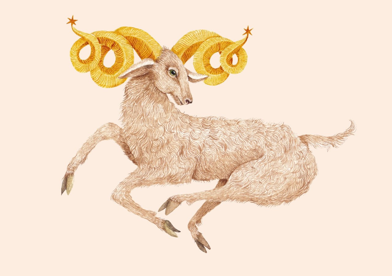 Constellation Aries: the most important characteristics at a glance
