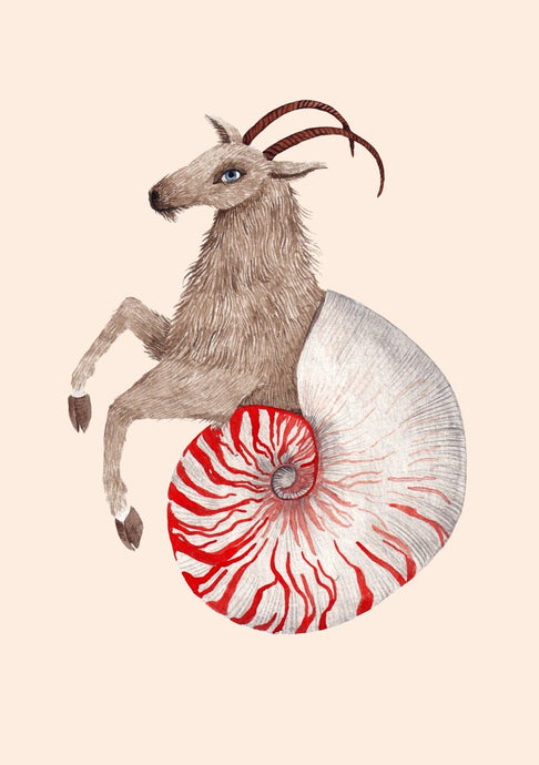Capricorn: the most important characteristics at a glance