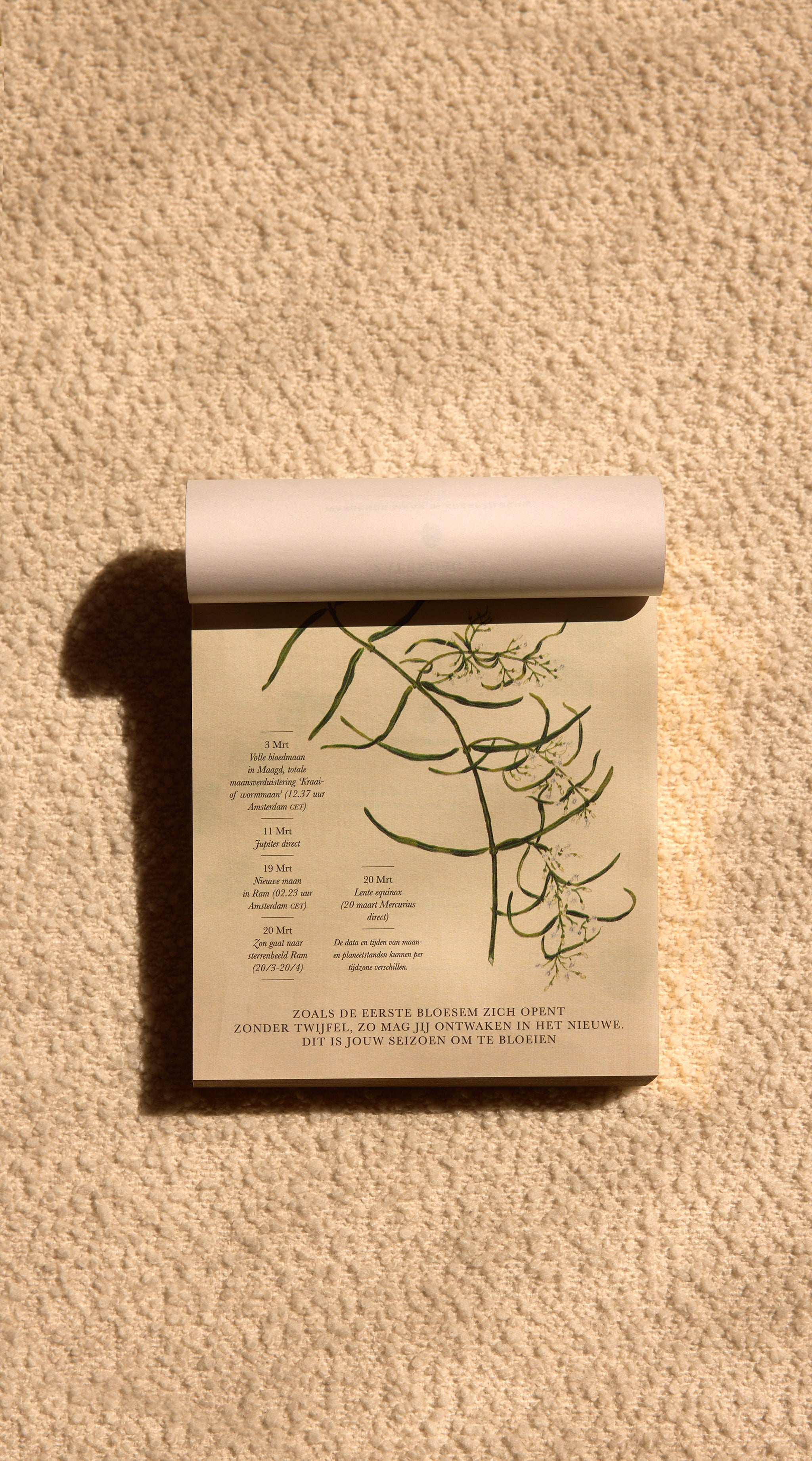 Moon Calendar 2026 Dutch - Moonsisters