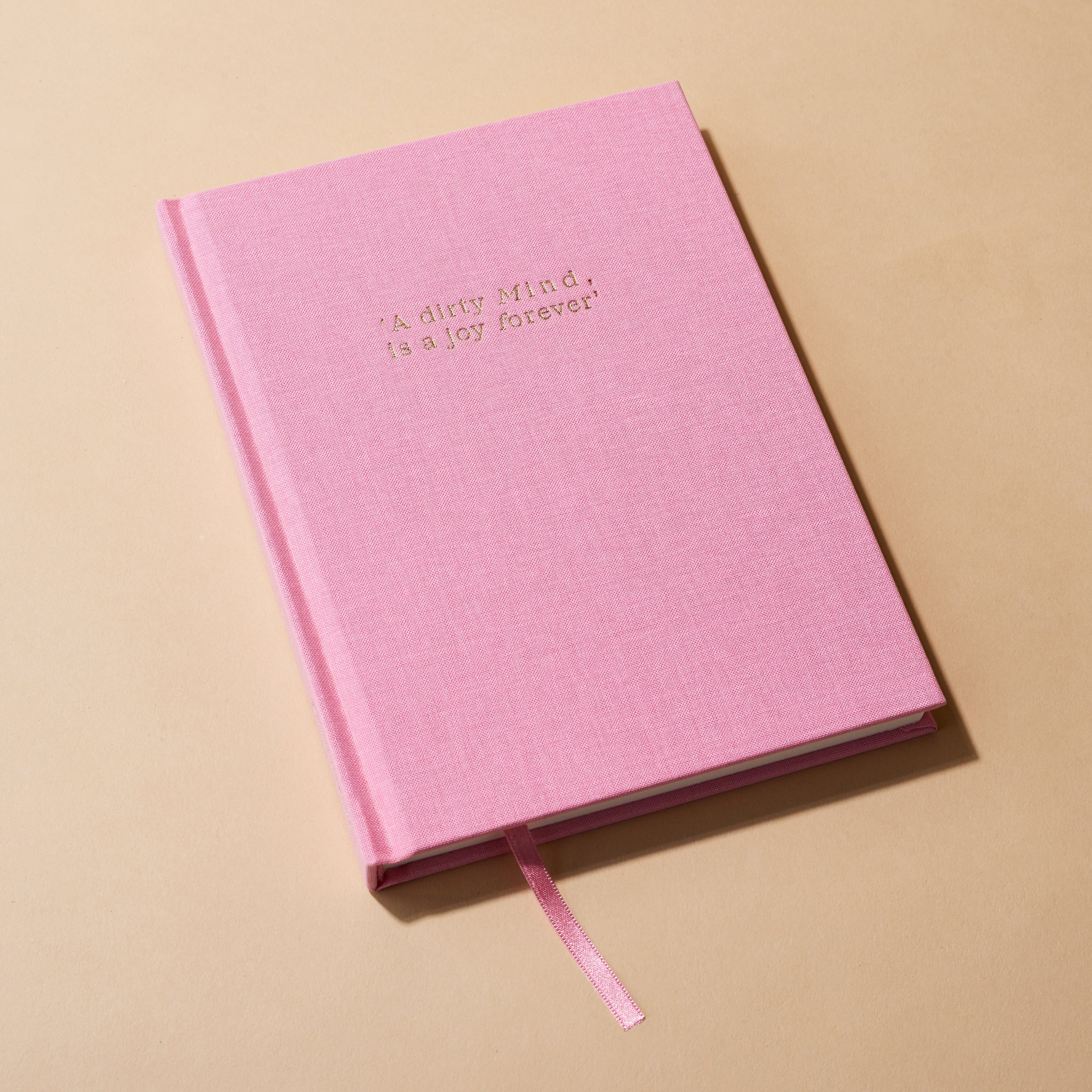 Luxury Notebooks - 'A dirty mind is a joy forever'